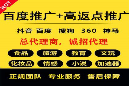某公司如何通过SEM实现精准营销——从策略到执行的完整案例